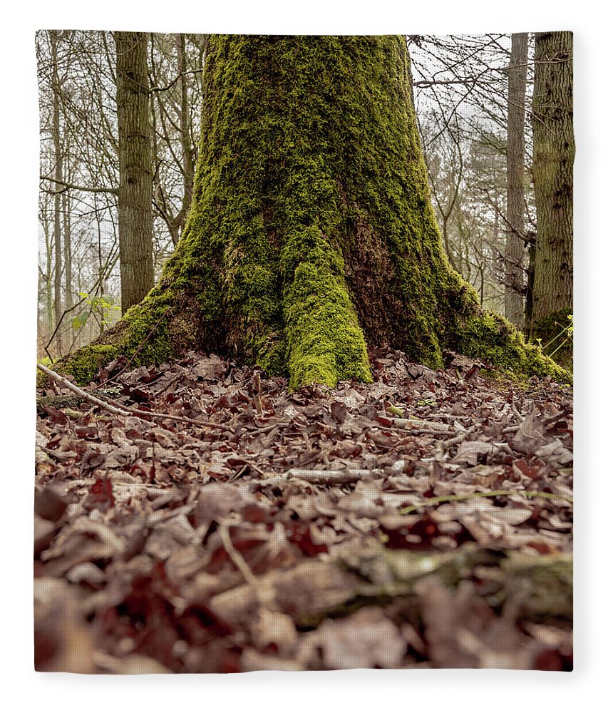 Art Fleece Blanket featuring the photograph Mossy Tree by Scott Lyons