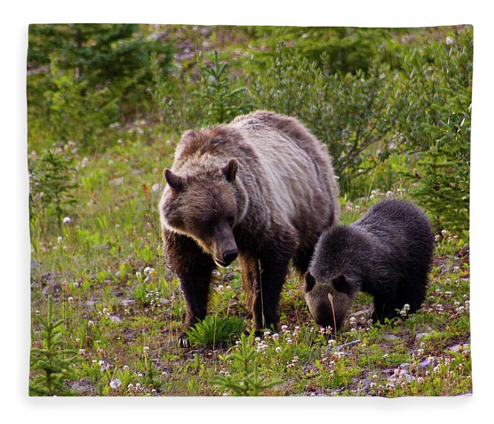Brown Bear Fleece Blanket featuring the photograph Mother Grisly Bear And Cub by Klassen Images