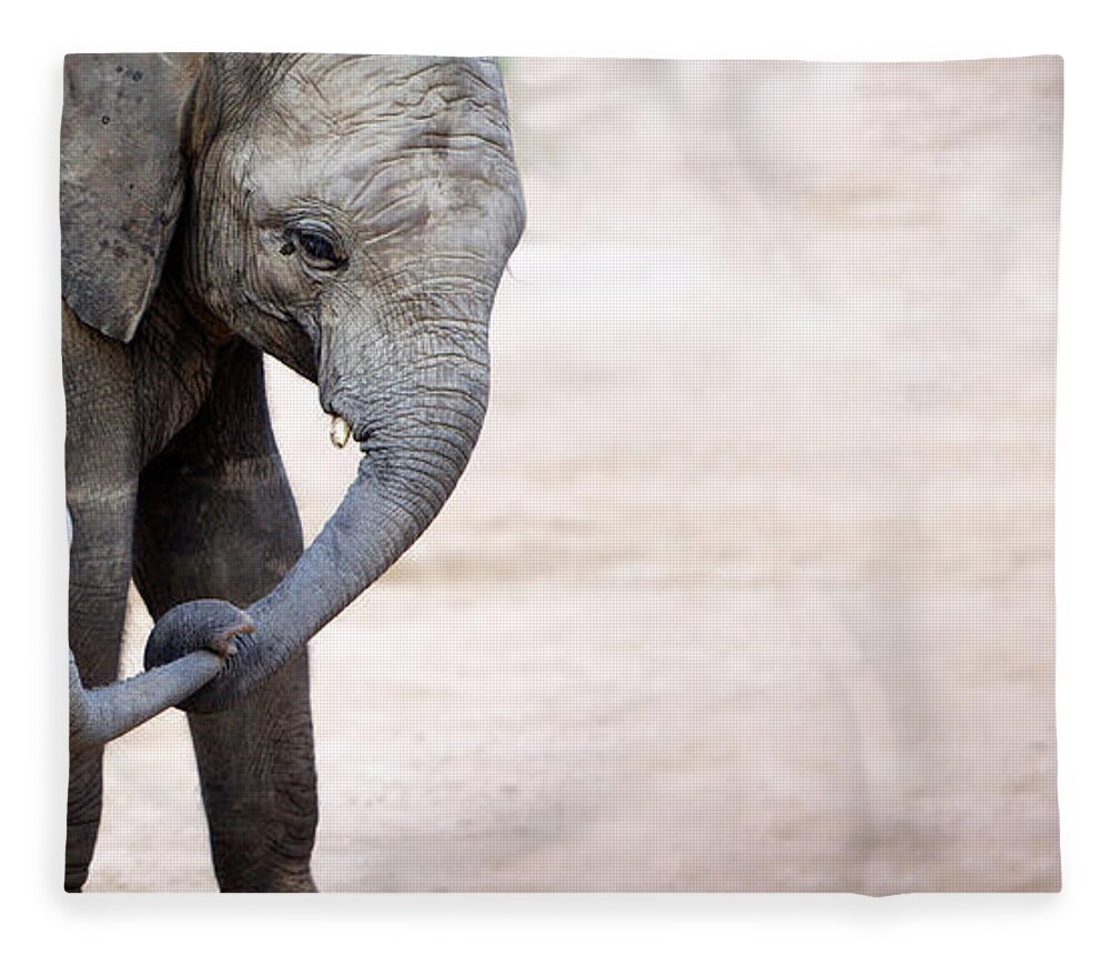 Scenics Fleece Blanket featuring the photograph Mother With Baby Elephant Loxodonta by Heinrich Van Den Berg