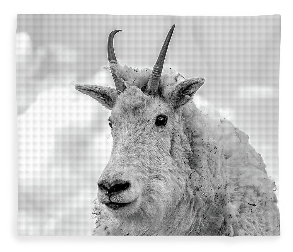 Mountain Goat Fleece Blanket featuring the photograph Mountain Goat in Black and White 14x11 by Mindy Musick King