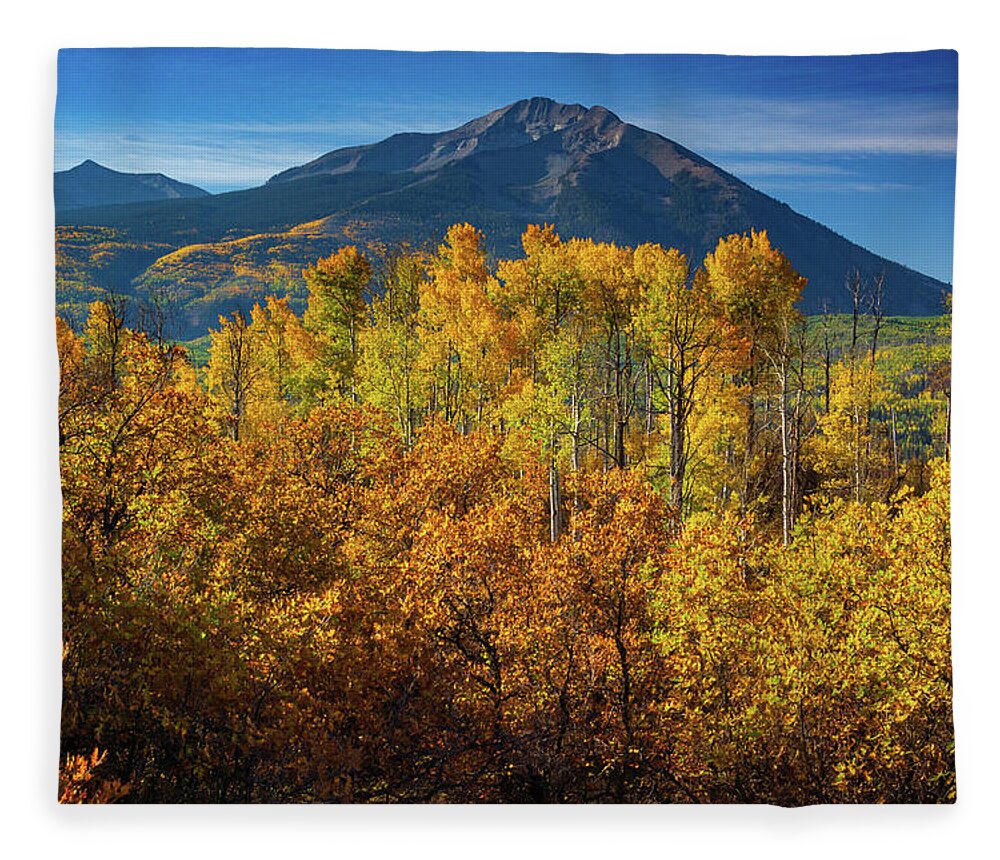 America Fleece Blanket featuring the photograph Mountains and Aspen by John De Bord