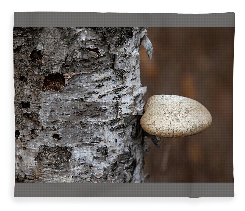 Mushroom Fleece Blanket featuring the photograph Mushroom on Birch by Laura Smith