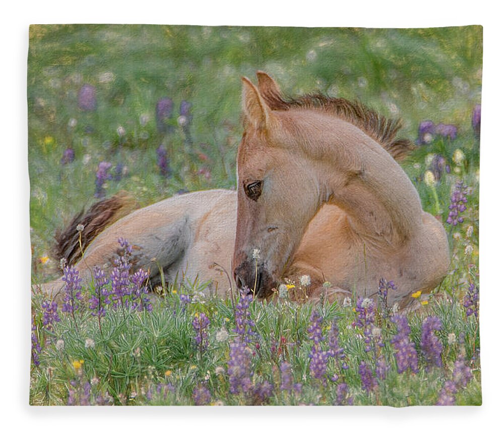 Wild Mustangs Fleece Blanket featuring the photograph Wild Mustang Foal in the Wildflowers by Marcy Wielfaert
