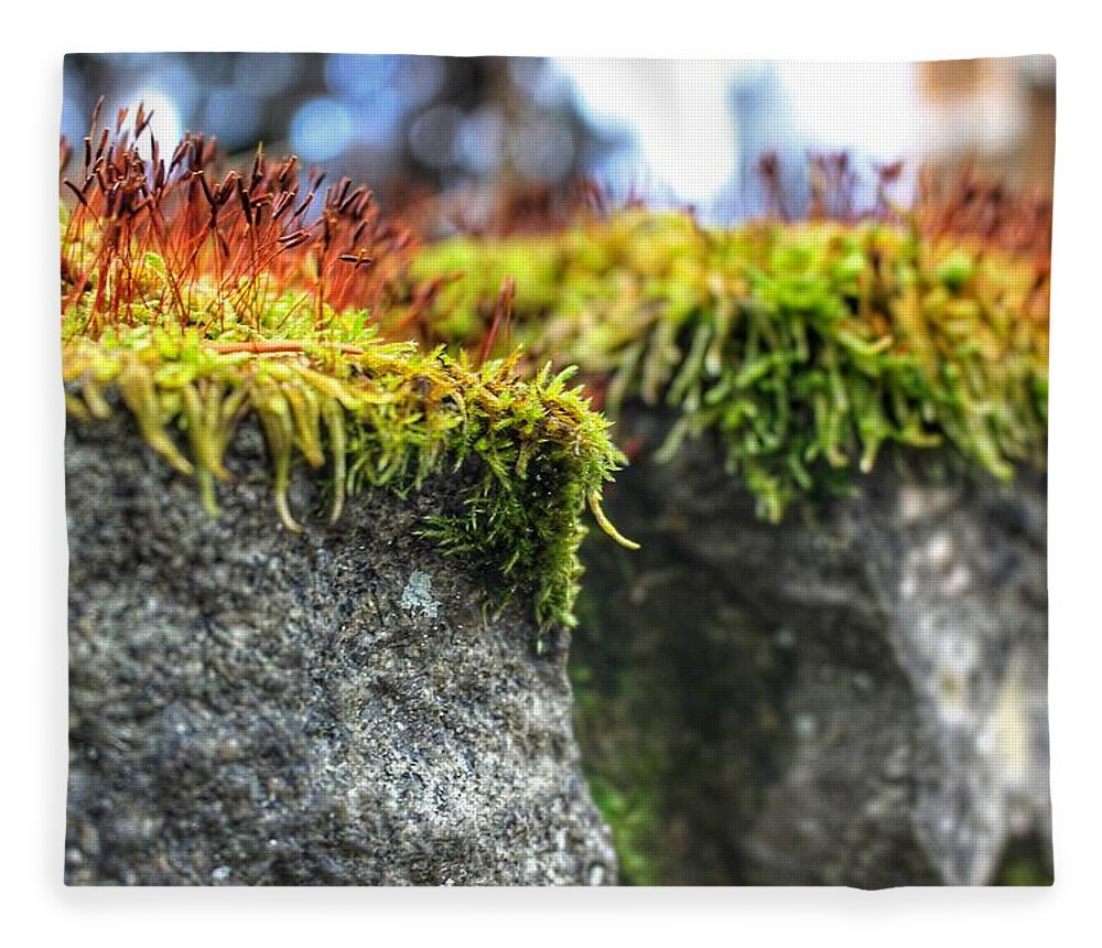 Moss Fleece Blanket featuring the photograph Nascent by Christopher Lotito