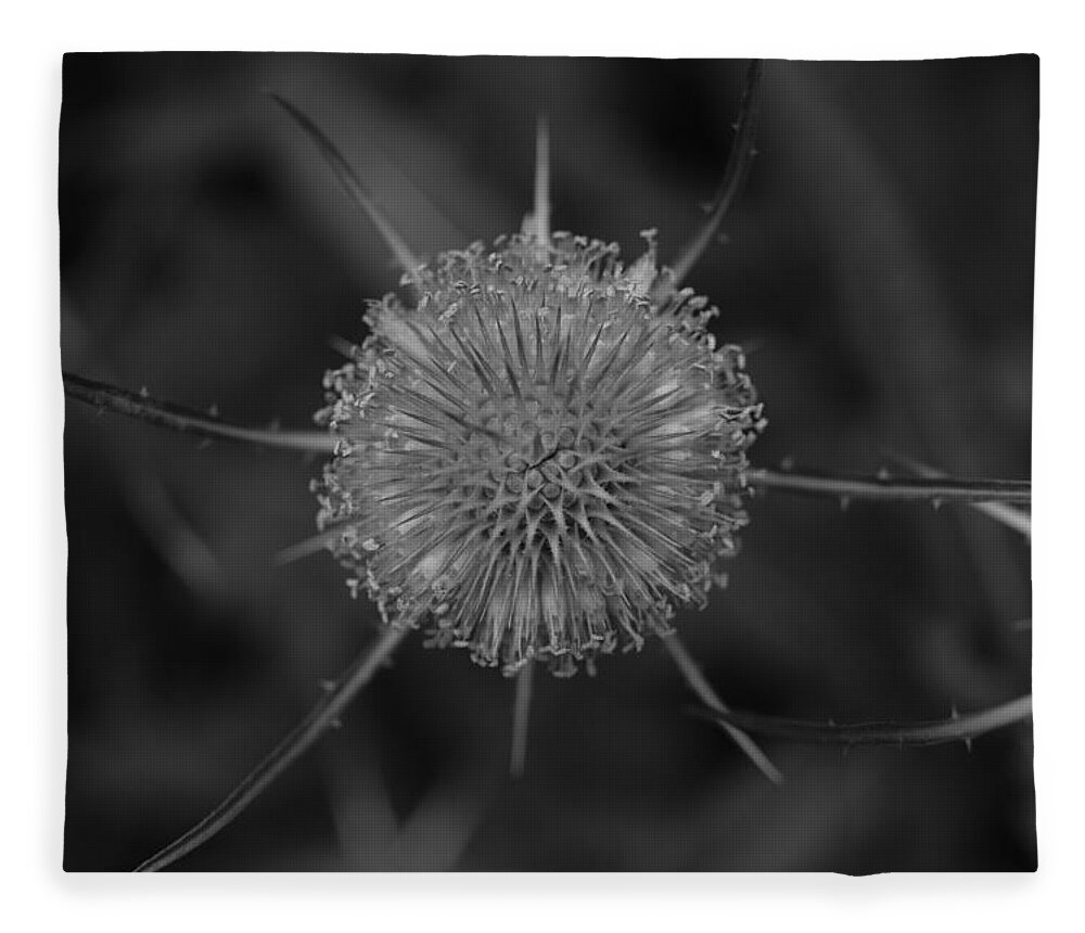 Nature Fleece Blanket featuring the photograph Natural Symmetry II by Jessica Myscofski