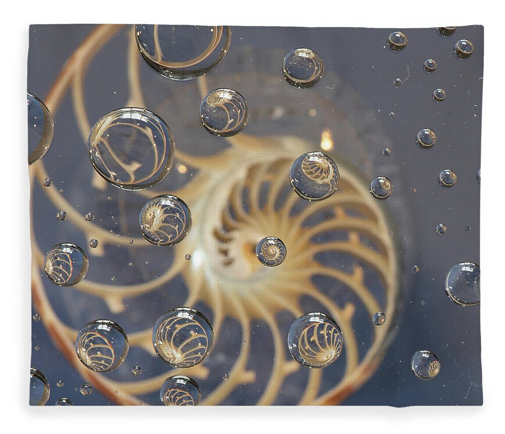 Nautilus Shell Fleece Blanket featuring the photograph Nautilus Shell by Minnie Gallman