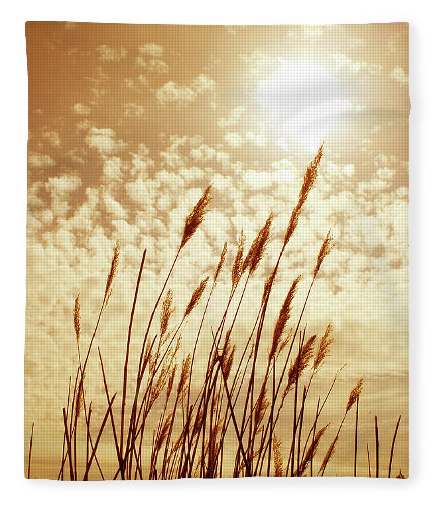 Outdoors Fleece Blanket featuring the photograph New Gold Dream by All Images Taken By Keven Law Of London, England.