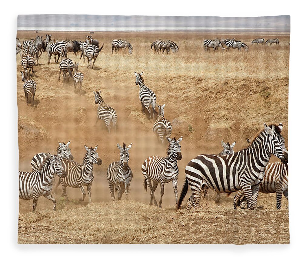 Dust Fleece Blanket featuring the photograph Ngorongoro Crater Conservation Area by William Manning