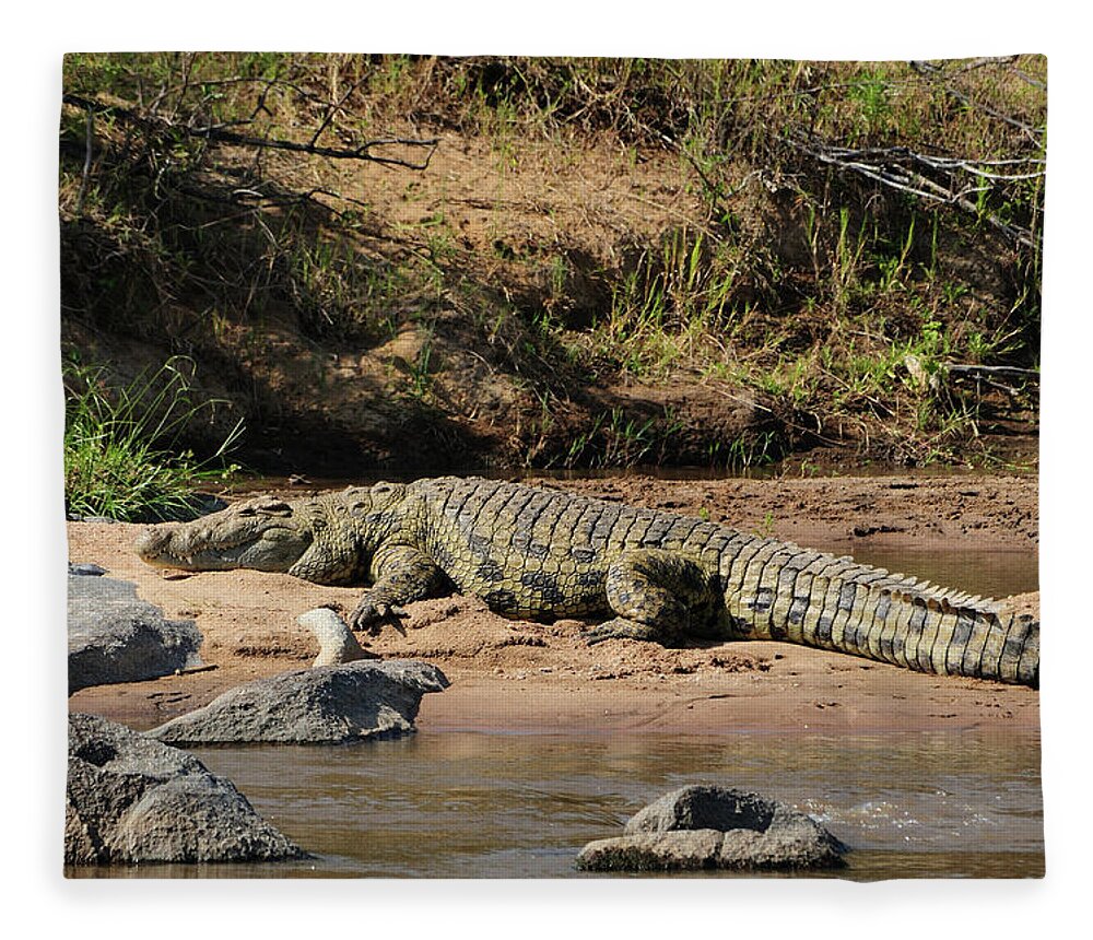 Grass Fleece Blanket featuring the photograph Nile Crocodile by Tom Schwabel