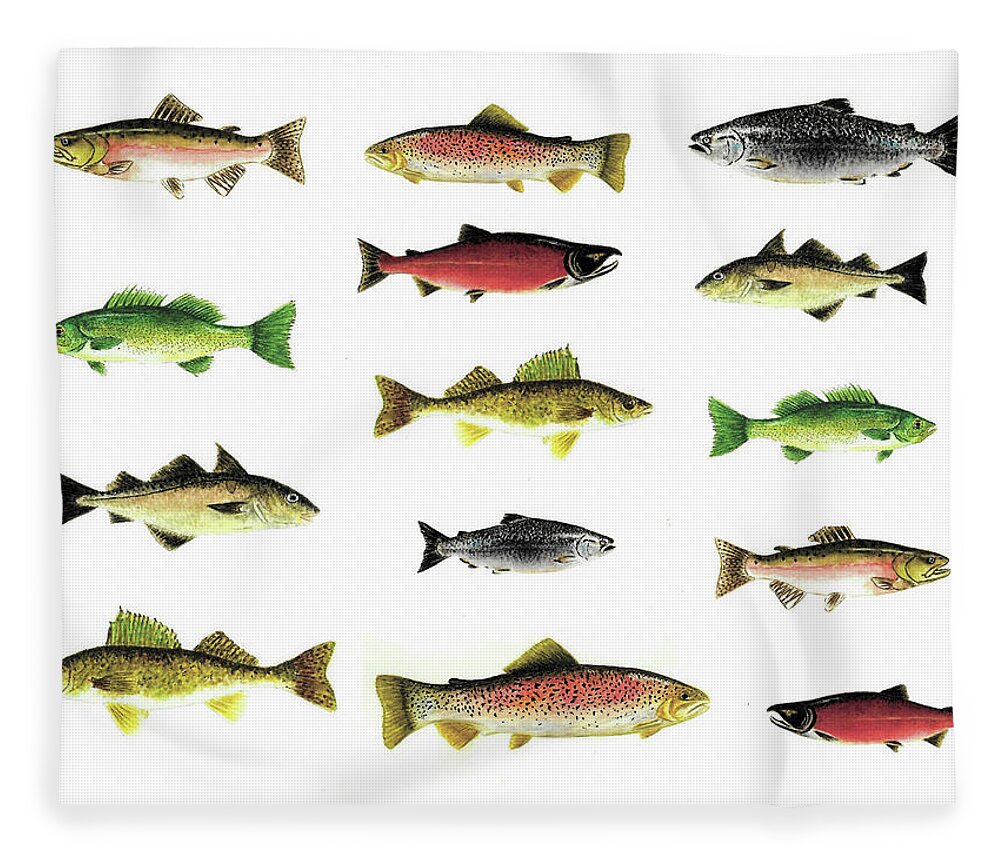 North American Freshwater Fish Number Two Fleece Blanket by Michael  Vigliotti - Pixels