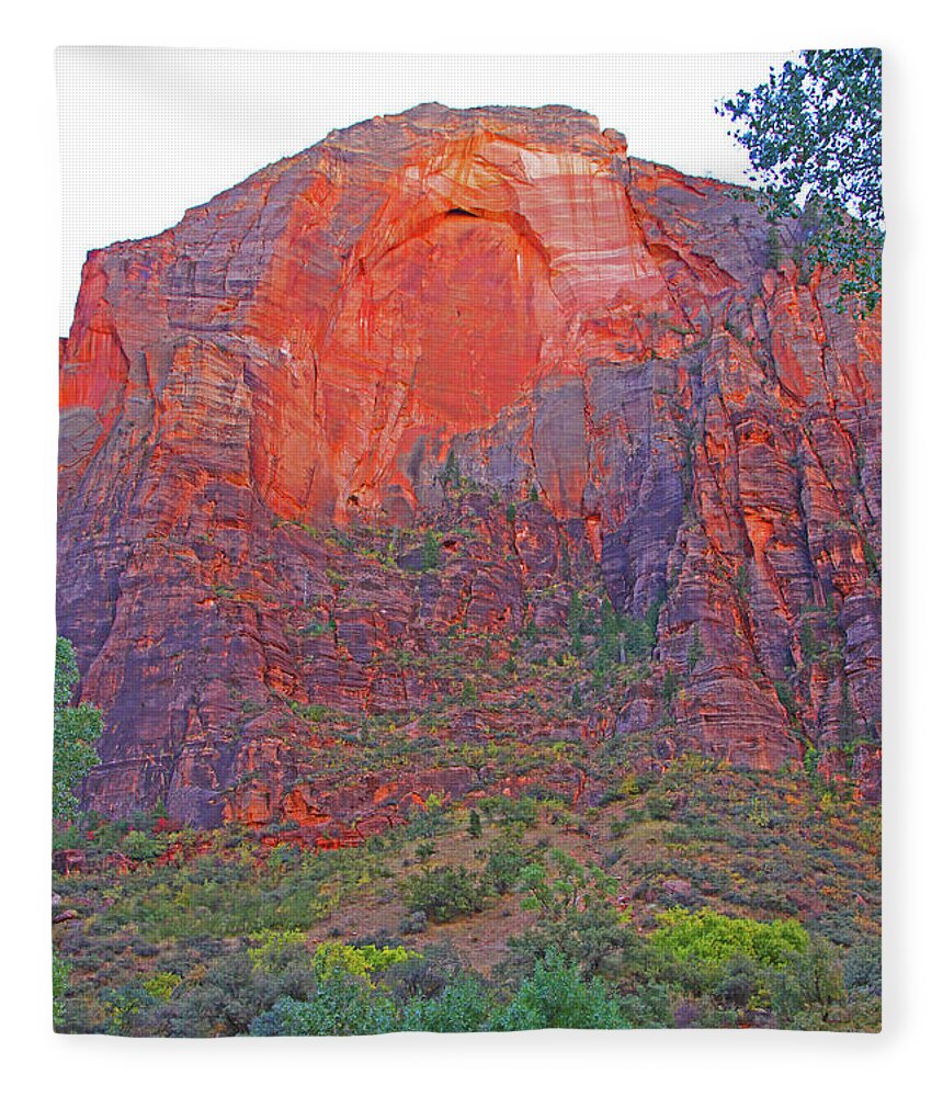 North Rim Grand Canyon Trees Mountain Red Blues Greens Fleece Blanket featuring the photograph North rim Grand Canyon Trees Mountain red blues greens 6300. by David Frederick