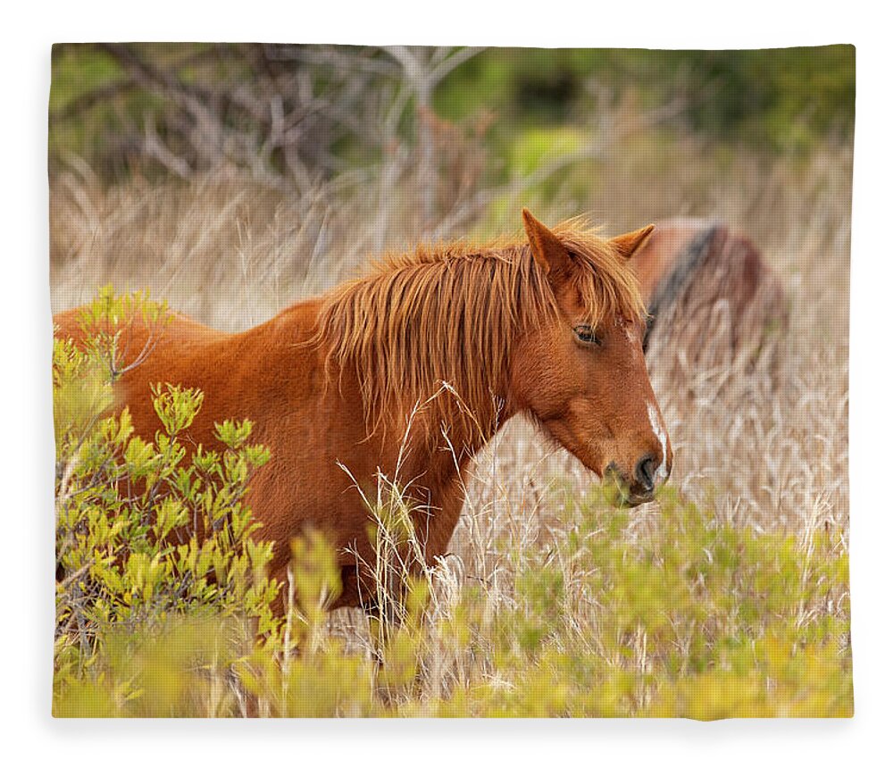 2019 Fleece Blanket featuring the photograph OBX Mare by Donna Twiford