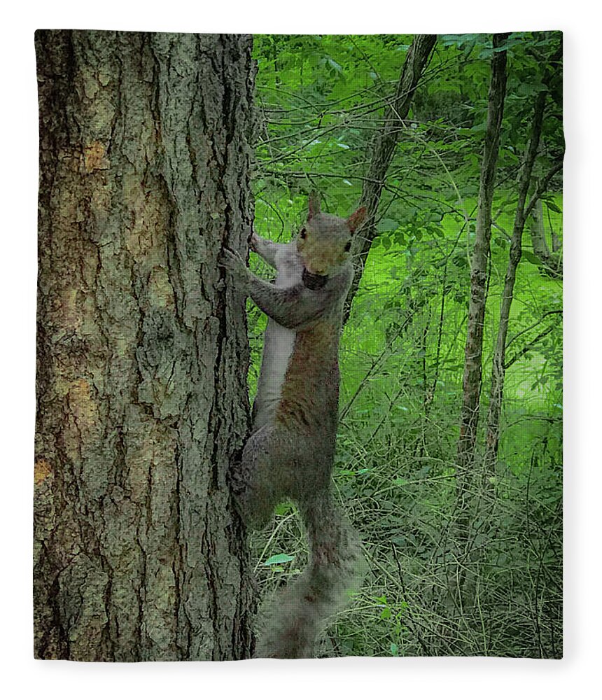 Squirrel Fleece Blanket featuring the photograph Oh Hi by Lora J Wilson