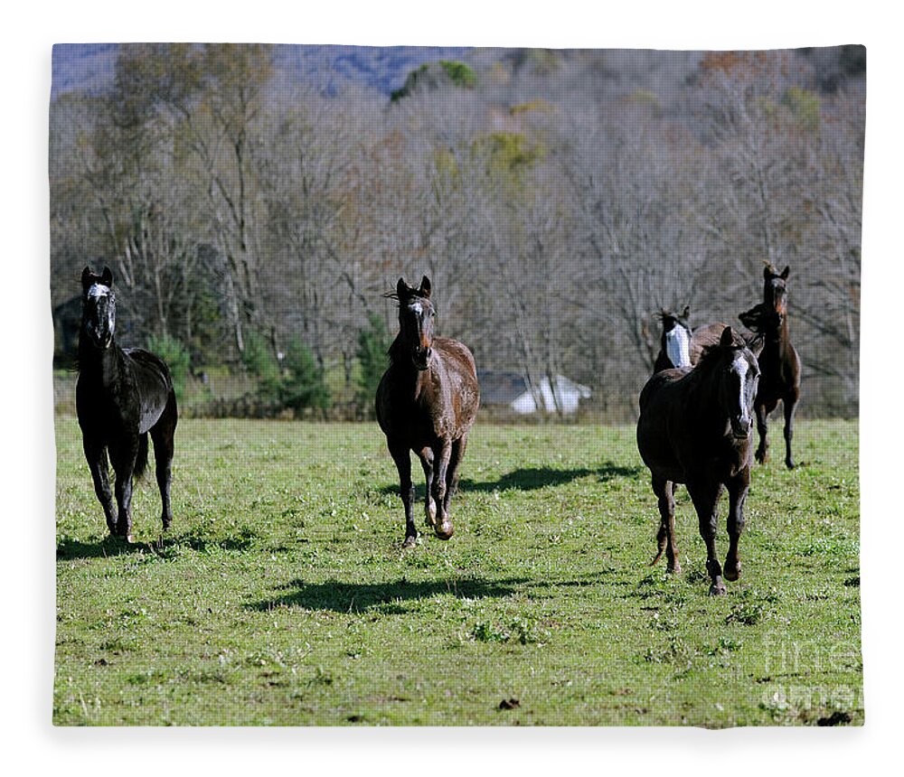 Rosemary Farm Fleece Blanket featuring the photograph Oliver, Mira, Luna, Melody and Marshall by Carien Schippers