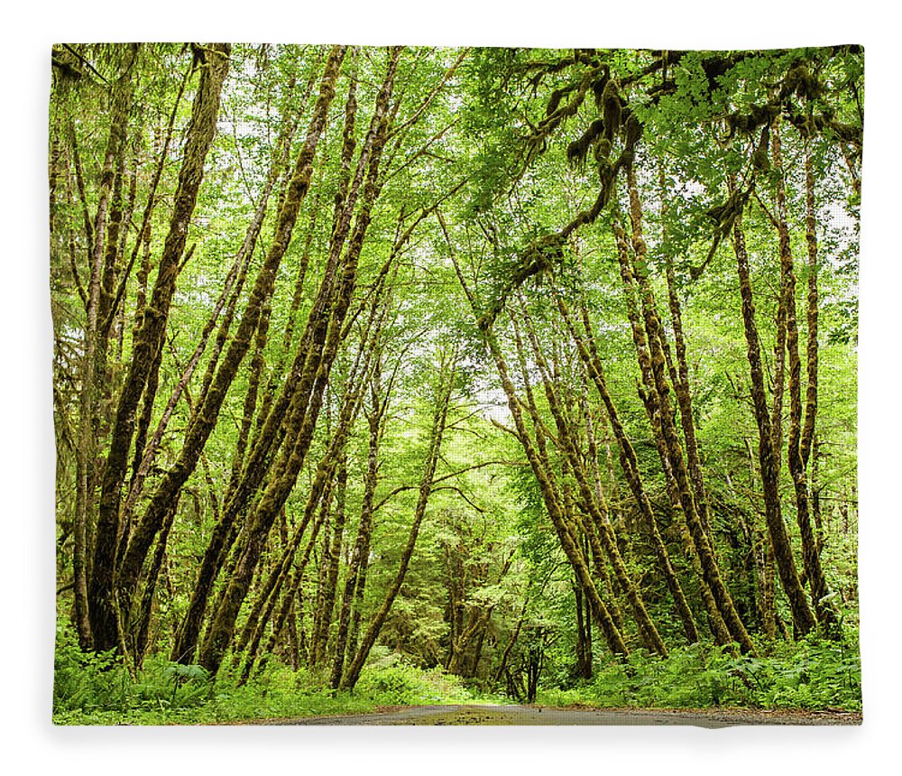 Hiking Trail Fleece Blanket featuring the photograph Olympic National Forest, Washington  by Julieta Belmont