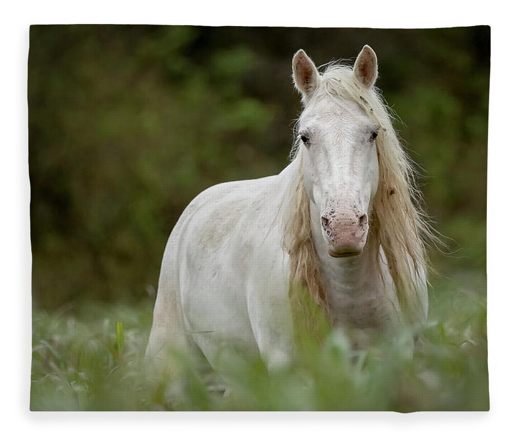 Wild Horse Fleece Blanket featuring the photograph Ombre by Holly Ross