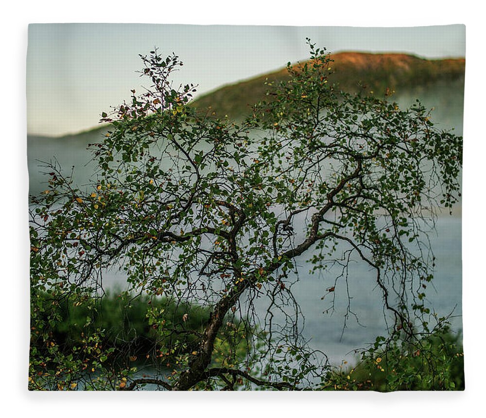 Landscape Fleece Blanket featuring the photograph On the misty river bank by Pekka Sammallahti
