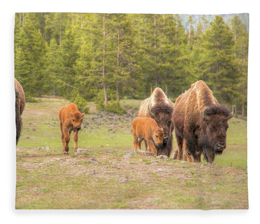 Bison Fleece Blanket featuring the photograph On the Move 0874 by Kristina Rinell