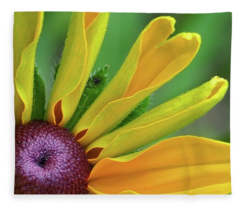 Flower Fleece Blanket featuring the photograph One Sunny Day by Alida M Haslett