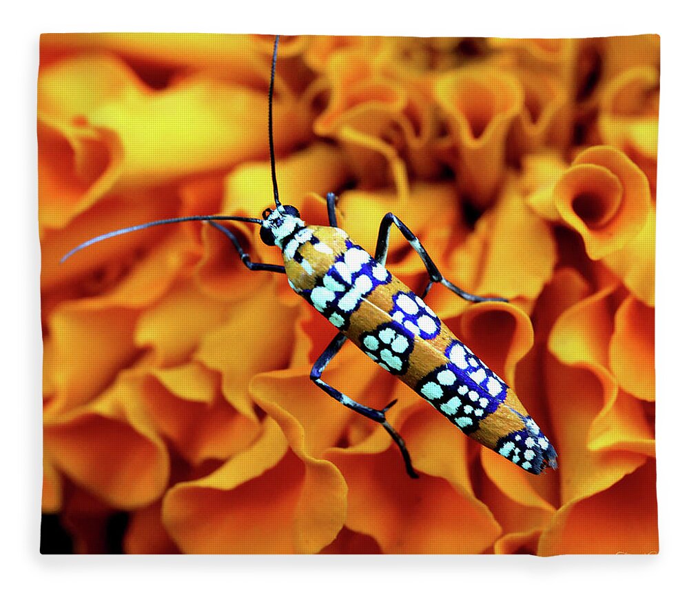 Insects Fleece Blanket featuring the photograph Orange Ailanthus Webworm Moth by Trina Ansel