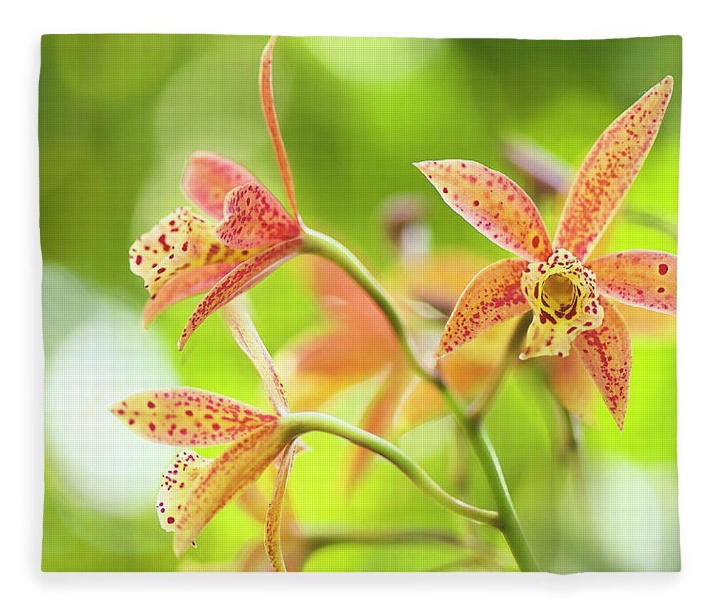 Rockville Fleece Blanket featuring the photograph Orange Yelllow With Red Spots Mini by Maria Mosolova
