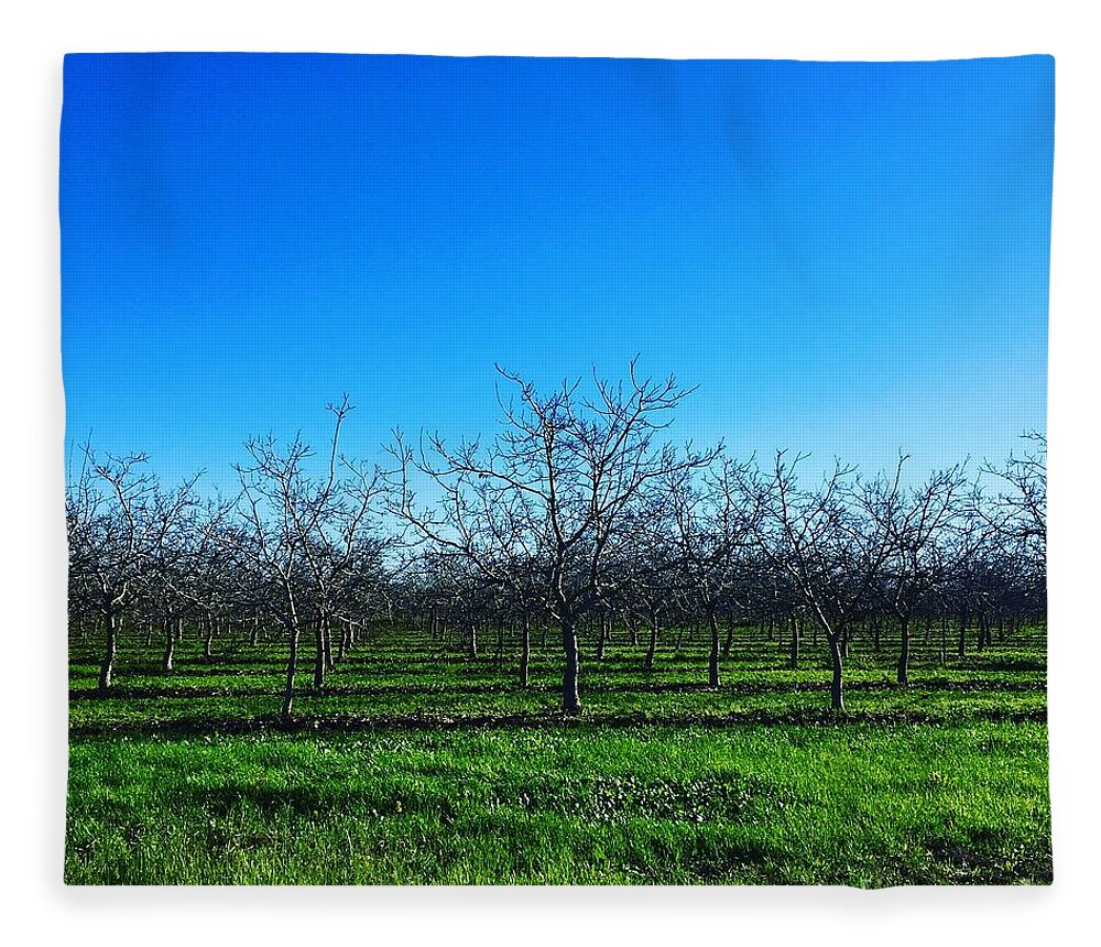 Orchard Fleece Blanket featuring the photograph Orchard Trees in Blue by Suzanne Lorenz