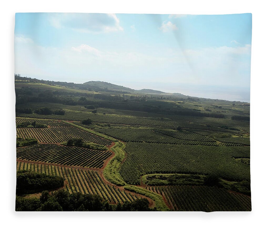 Scenics Fleece Blanket featuring the photograph Organic Plantation Ariel View by Akurtz