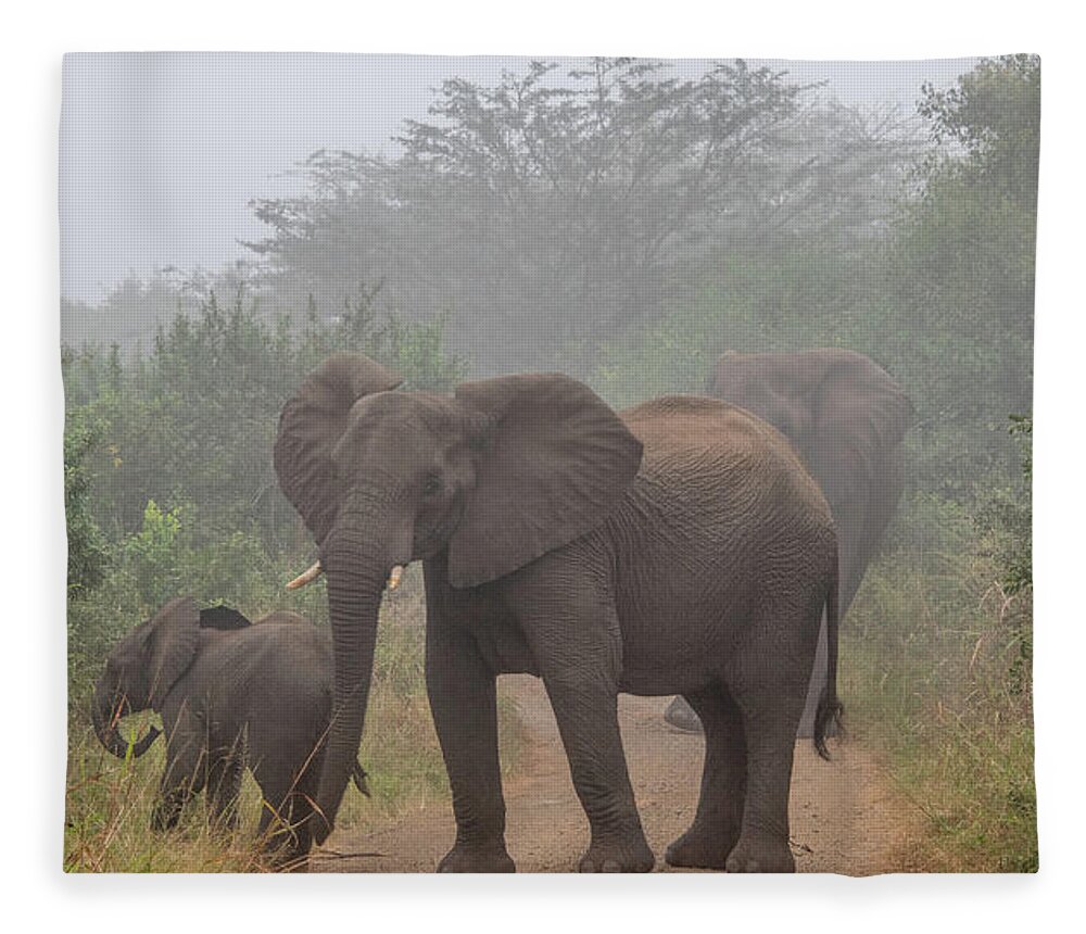 Hluhluwe-imfolozi Park Fleece Blanket featuring the photograph Out of the Fog in Hluhluwe by Marcy Wielfaert