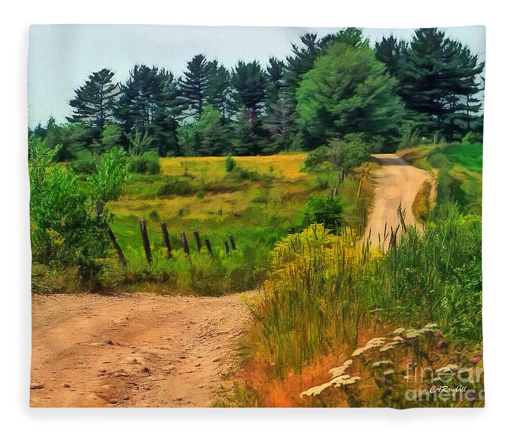 Country Road Fleece Blanket featuring the photograph Out The Back Road by Carol Randall