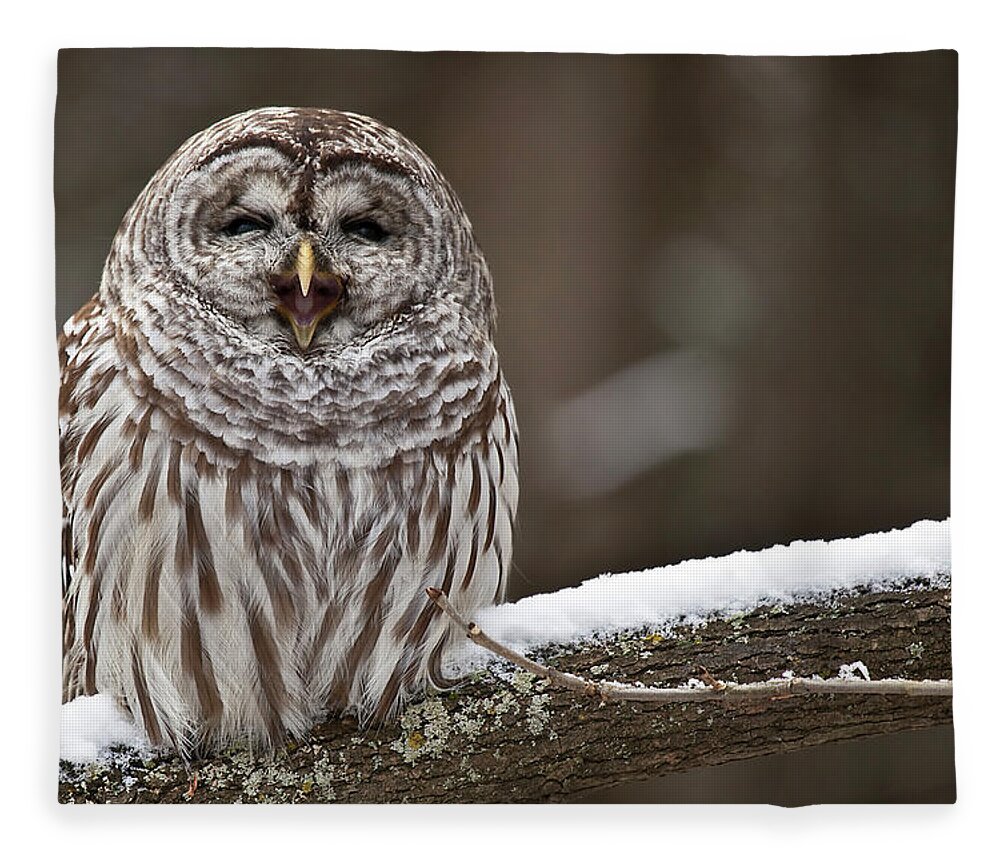 Snow Fleece Blanket featuring the photograph Owl Yawning by Mlorenzphotography