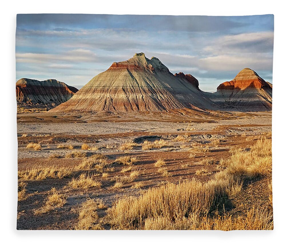 Painted Desert Fleece Blanket featuring the photograph Evening at Painted Desert by Theo O'Connor