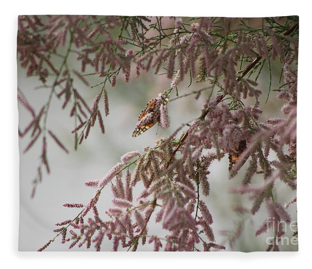 Peony Pink Fleece Blanket featuring the photograph Painted Lady Butterflies on Pink Chinese Saltcedar by Colleen Cornelius