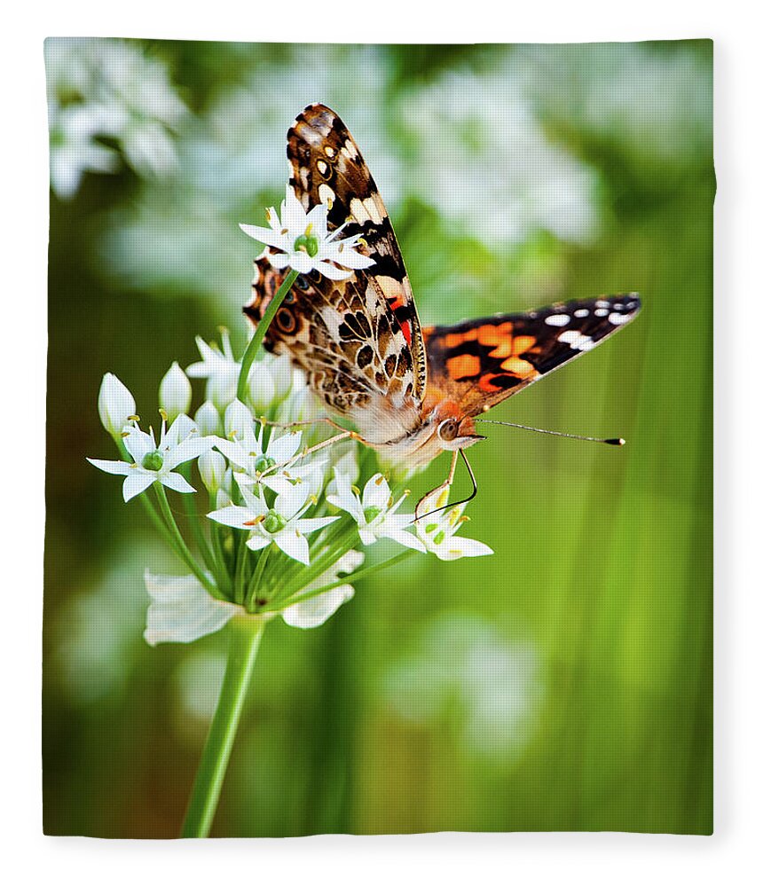 Painted Lady Fleece Blanket featuring the photograph Painted Lady II by Jeff Phillippi