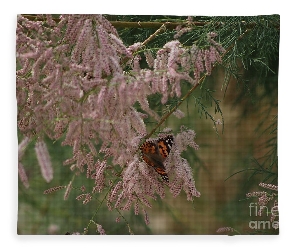 Peony Pink Fleece Blanket featuring the photograph Painted Lady on Pink Chinese Saltcedar by Colleen Cornelius