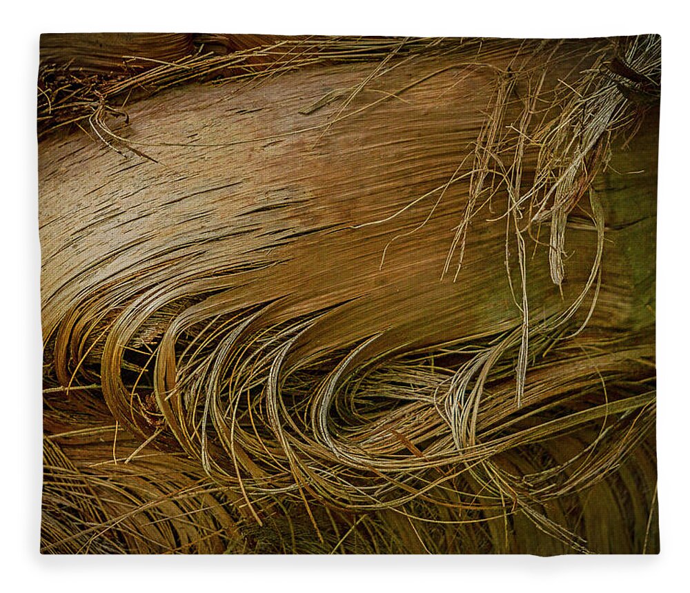 Texturas Fleece Blanket featuring the photograph Palm tree straw by Silvia Marcoschamer