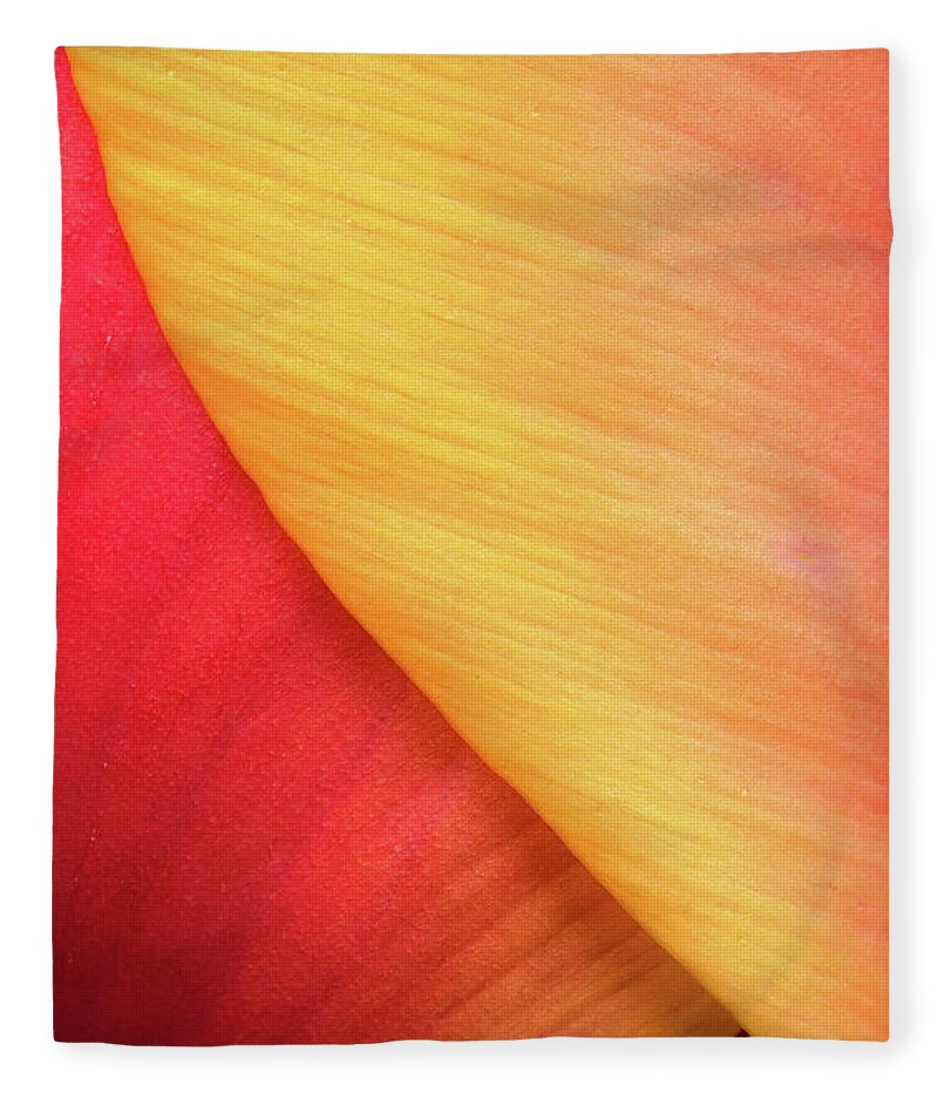 Tulip Fleece Blanket featuring the photograph Pastel Curve by Michael Hubley
