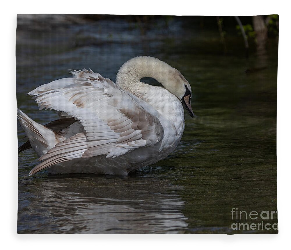 Photography Fleece Blanket featuring the photograph Patchy Swan by Alma Danison