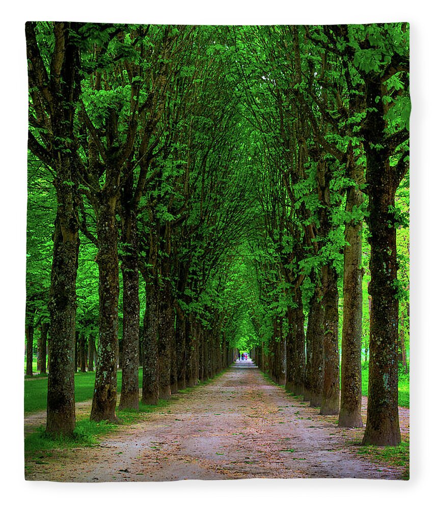 Tranquility Fleece Blanket featuring the photograph Path Lined With Tall Chestnut Trees by Elfi Kluck