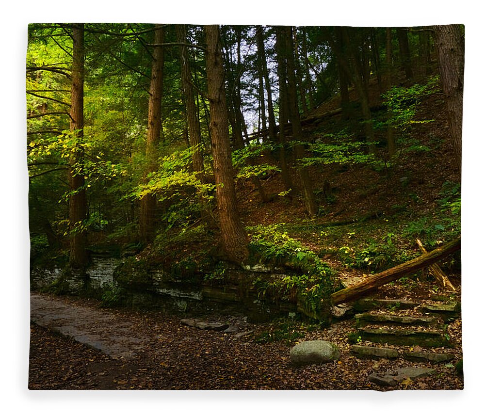Fall Fleece Blanket featuring the photograph Pathway by Amanda Jones