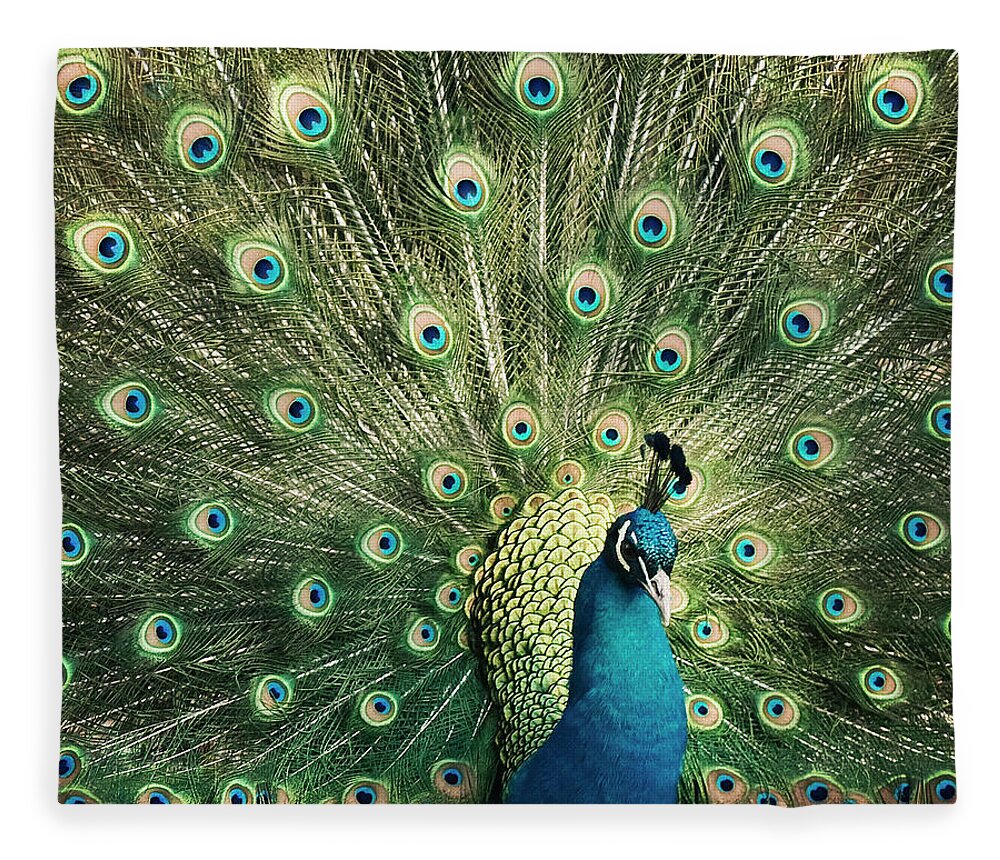 Peacock With Open Tail Feathers Fleece Blanket by Jody Trappe