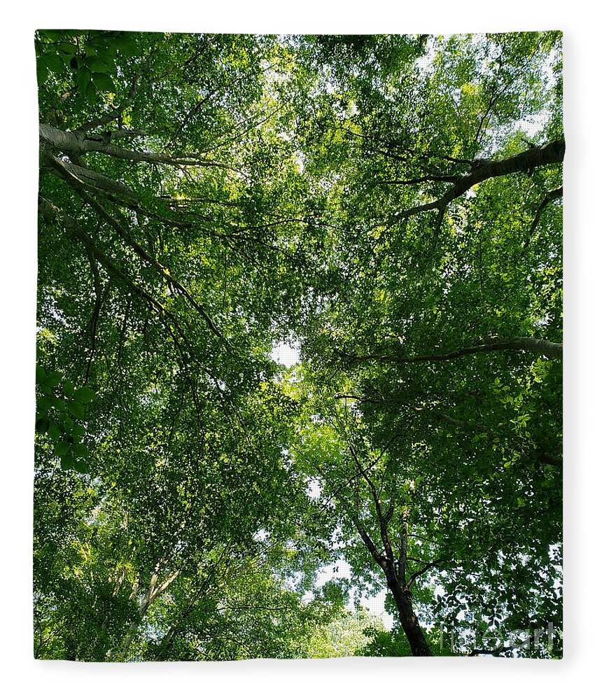 Trees Fleece Blanket featuring the photograph Peeking through the Trees by Anita Adams
