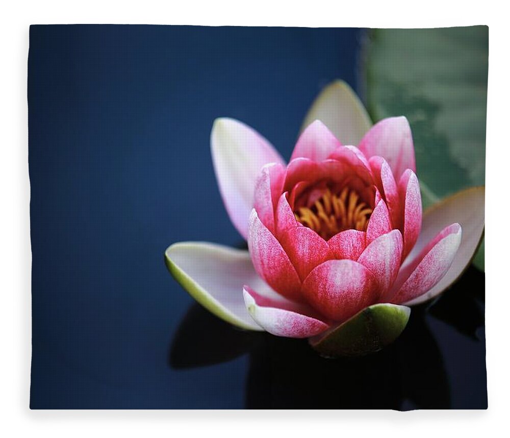 Photo Fleece Blanket featuring the photograph Perfect lotus by Top Wallpapers