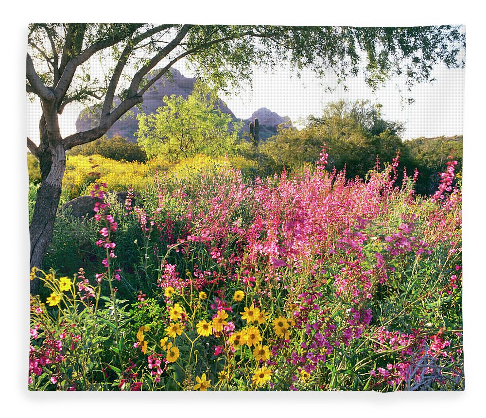 Scenics Fleece Blanket featuring the photograph Phoenix Botanical Gardens by Richard Felber