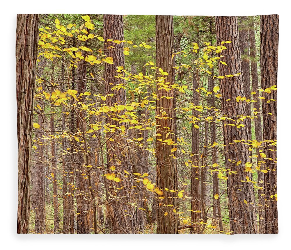 Yosemite Valley Fleece Blanket featuring the photograph Pines With Dogwood 2 by Jonathan Nguyen