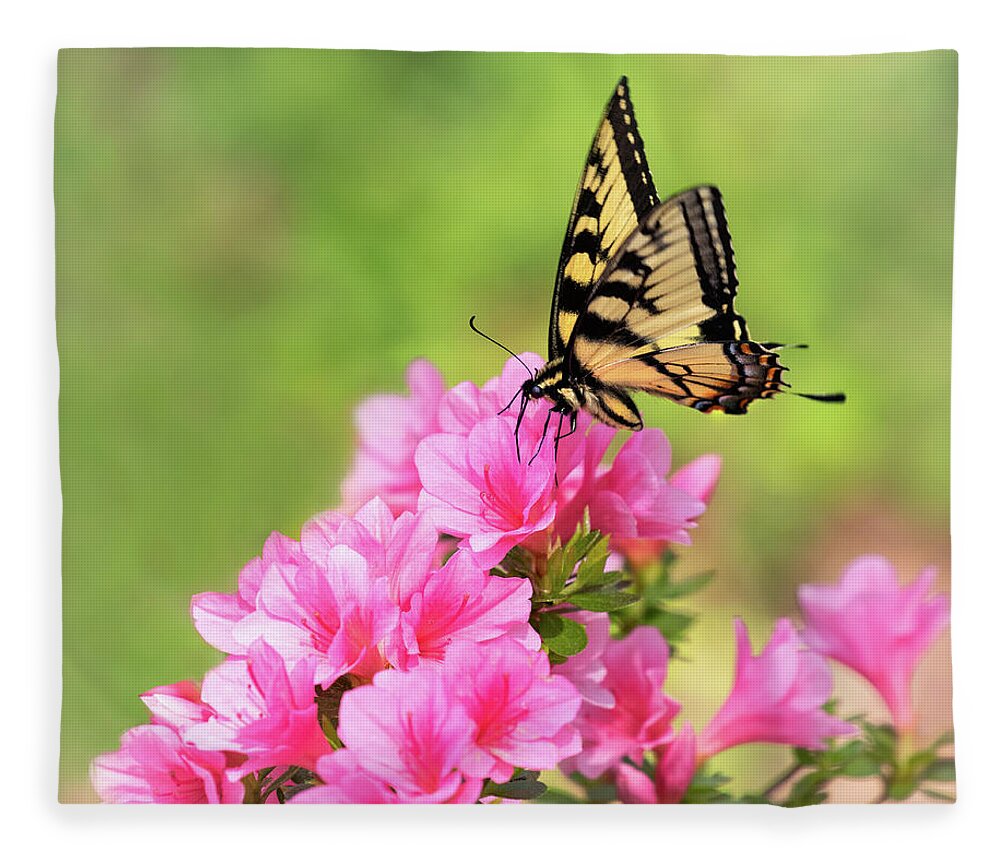 Azalea Fleece Blanket featuring the photograph Pink and Yellow by Art Cole