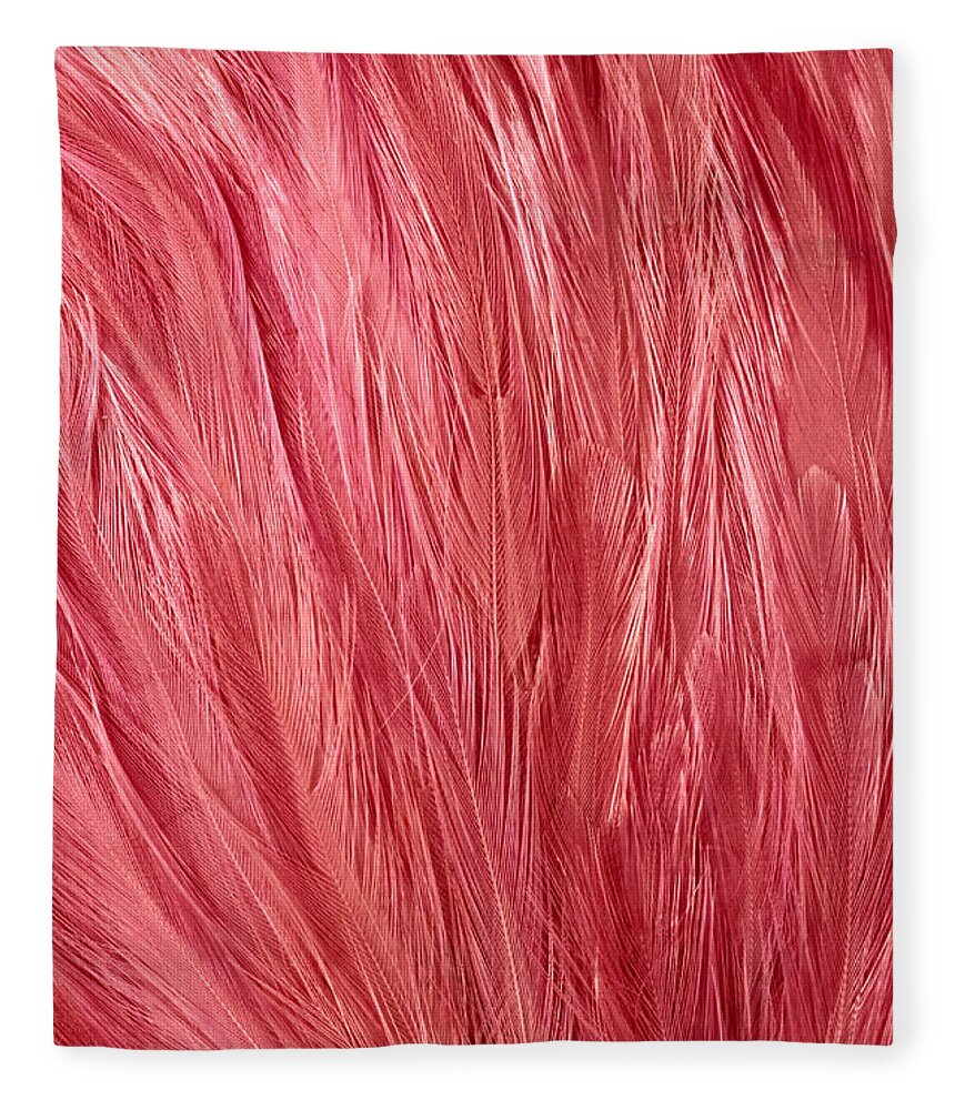 Natural Pattern Fleece Blanket featuring the photograph Pink Feathers by Siede Preis