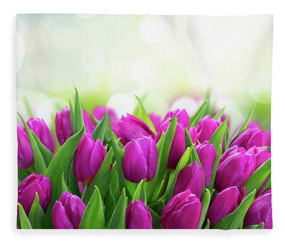 Tulips Fleece Blanket featuring the photograph Violet Matters by Anastasy Yarmolovich