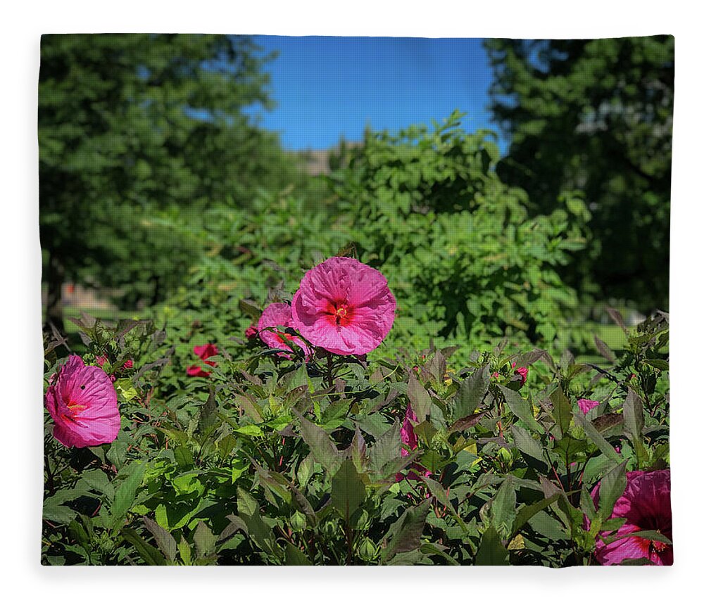 Flowers Fleece Blanket featuring the photograph Pink by Lora J Wilson