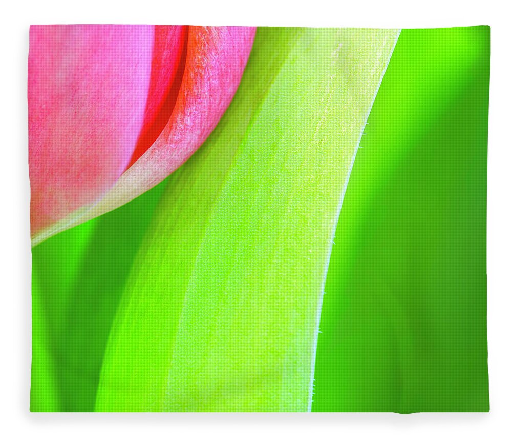 Tulip Fleece Blanket featuring the photograph Pink Tulip Abstract i by Marianne Campolongo