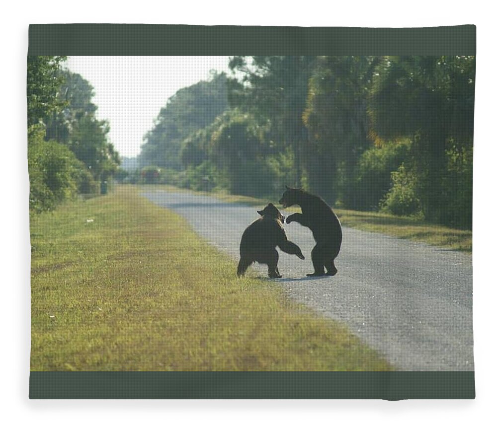 Florida Fleece Blanket featuring the photograph Play Fight by Lindsey Floyd